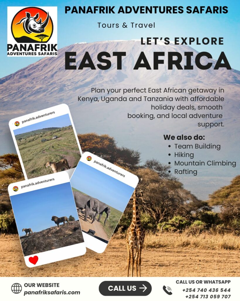 whatsapp image 2026 01 24 at 9.08.55 pm